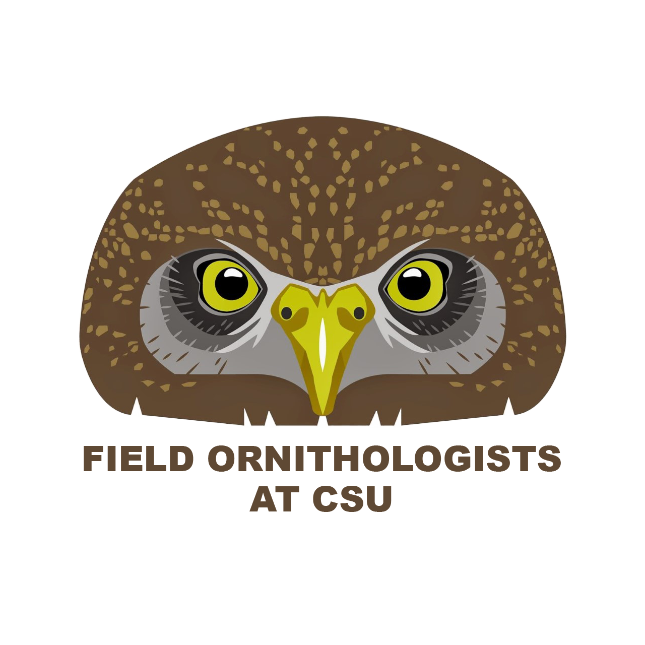 Field Ornithologists at Colorado State University